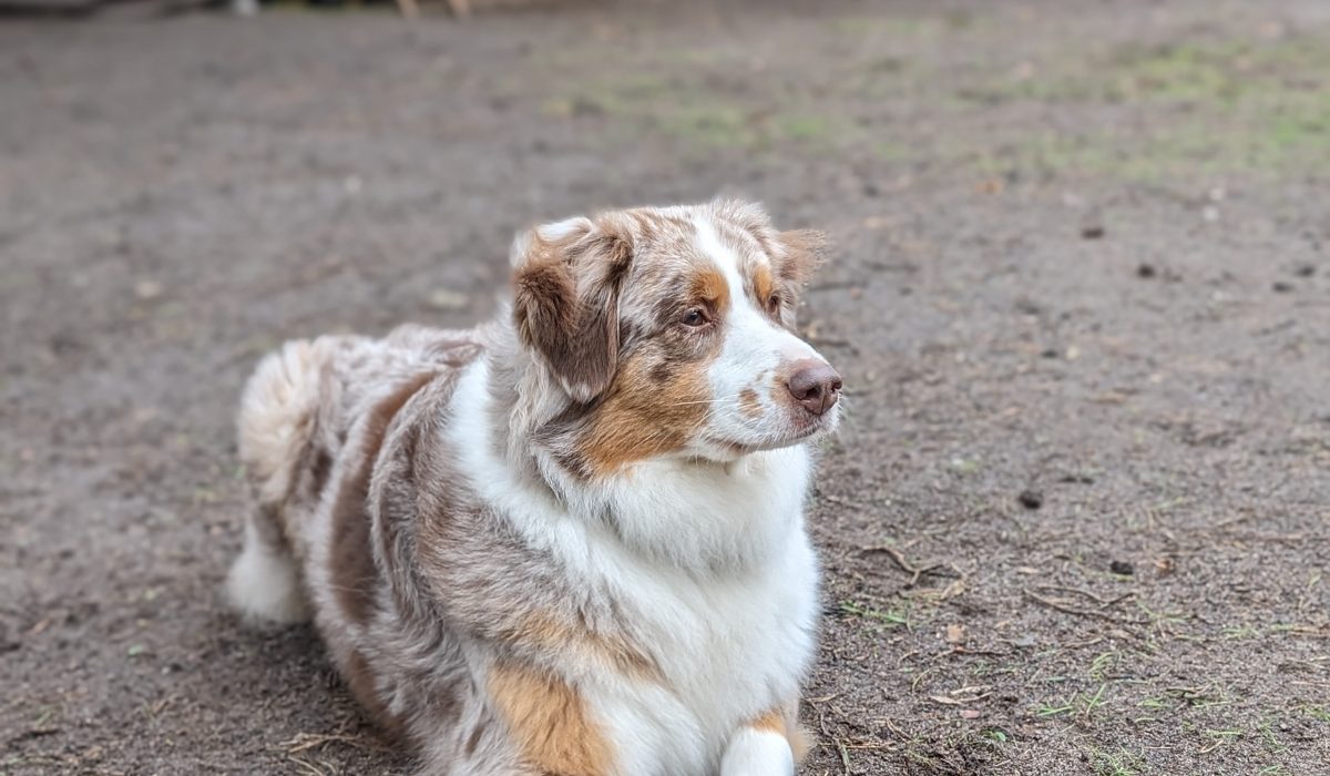 PXL_20240221_091824977.PORTRAIT