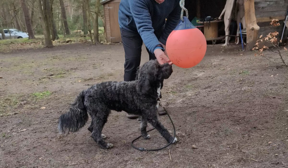 PXL_20240221_092127369_exported_1813_1708507335882