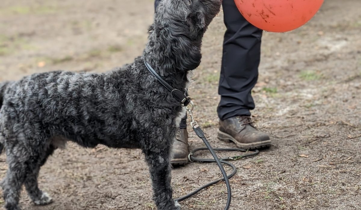 PXL_20240221_092137076.PORTRAIT