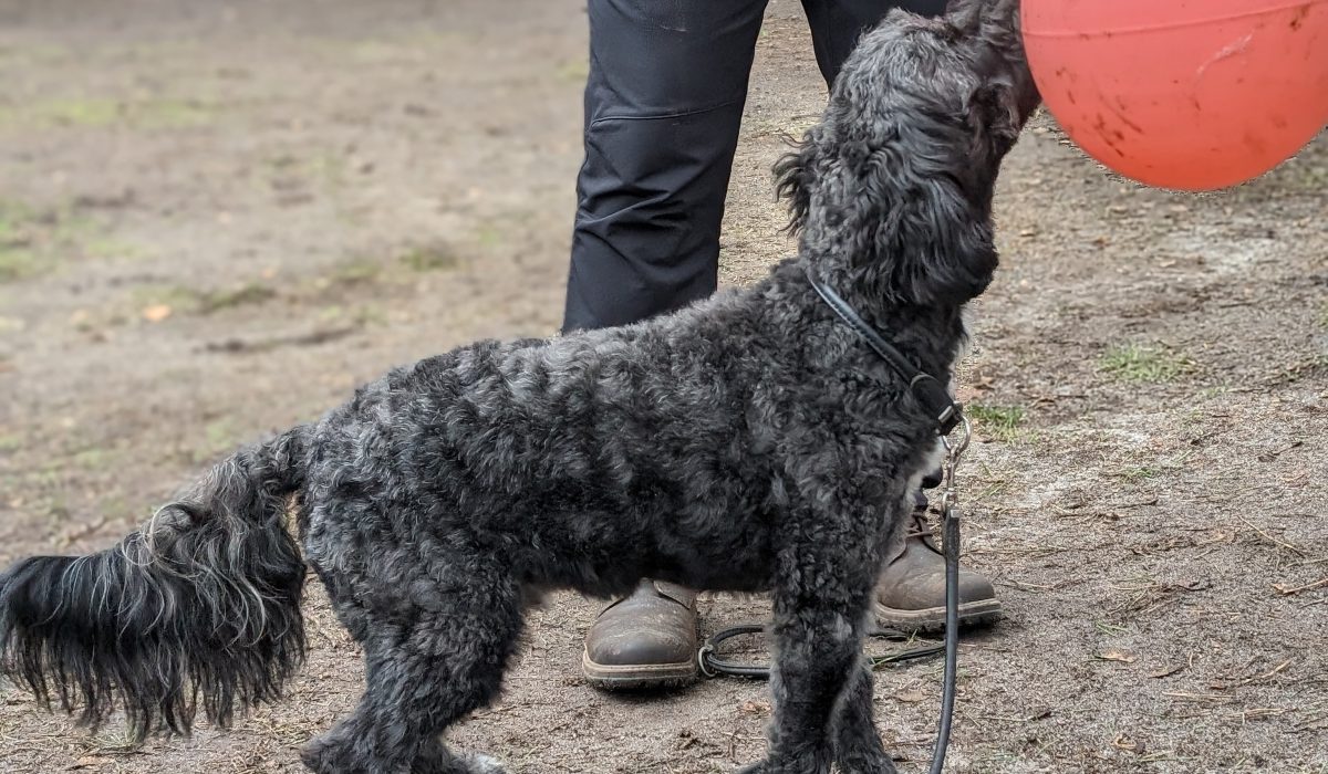 PXL_20240221_092140865.PORTRAIT