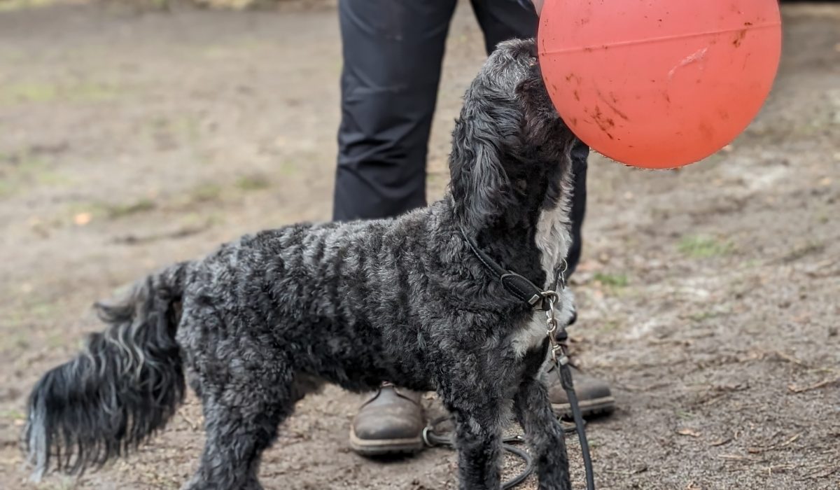 PXL_20240221_092143143.PORTRAIT