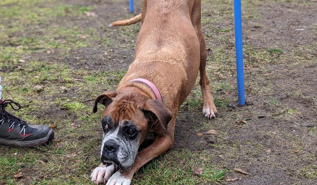 PXL_20240221_092344351.PORTRAIT