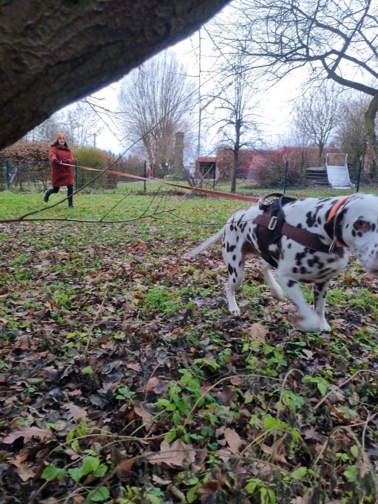 Mehr über den Artikel erfahren Mantrail (Galerie)