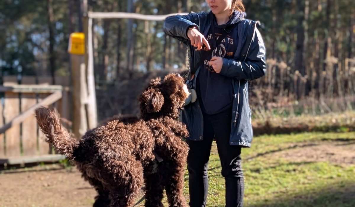 PXL_20260318_092523473.PORTRAIT