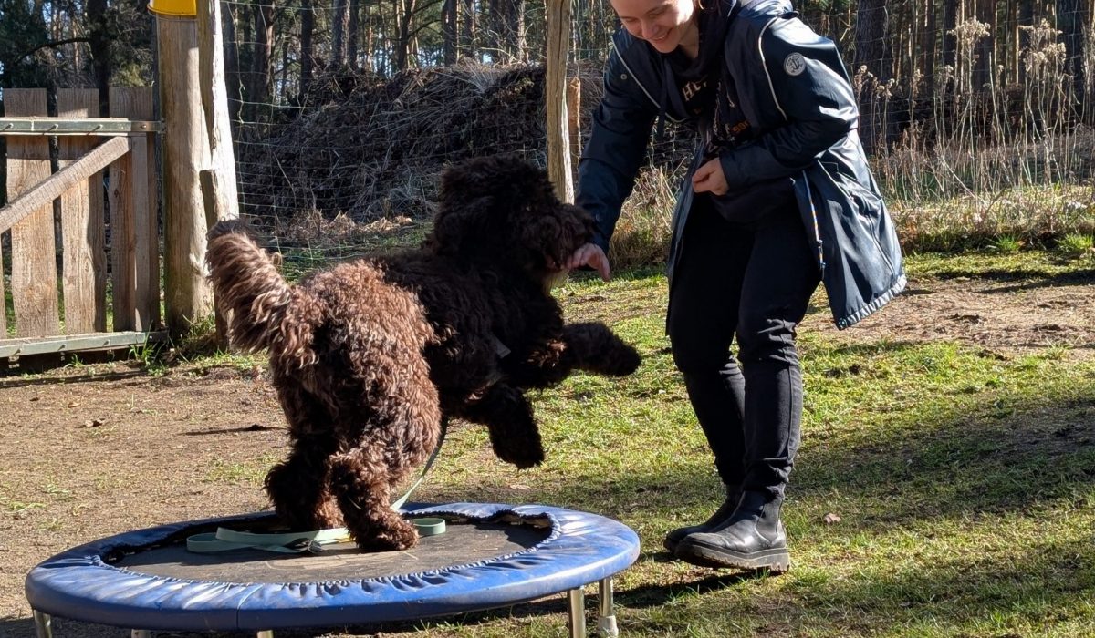 PXL_20260318_092537787.PORTRAIT.ORIGINAL