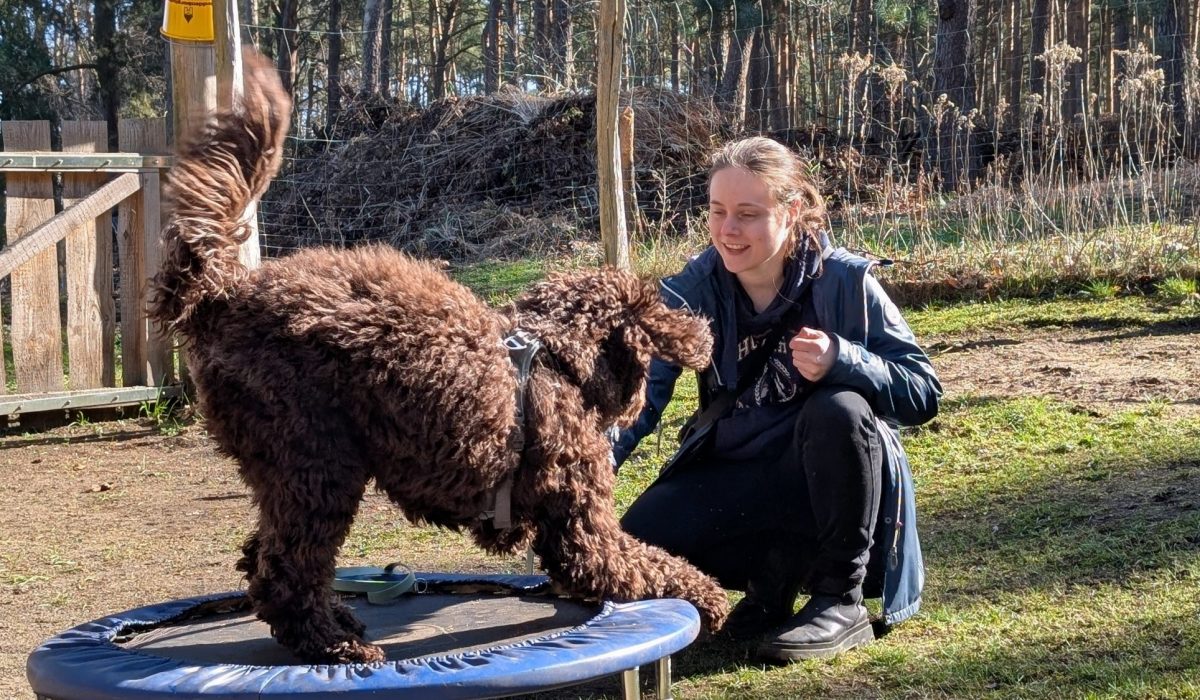 PXL_20260318_092540155.PORTRAIT.ORIGINAL