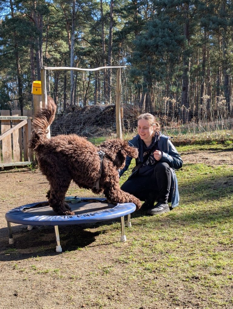 Mehr über den Artikel erfahren Trickstunde (Galerie)