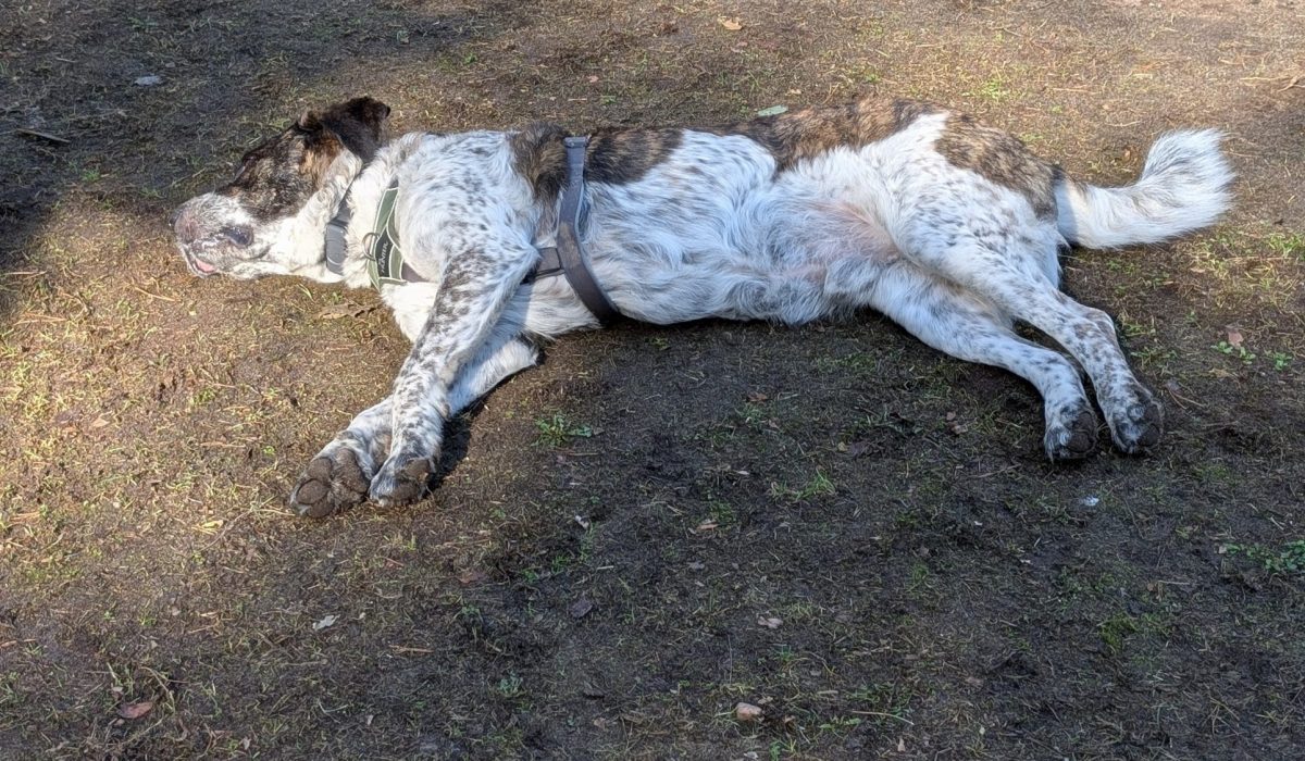 PXL_20260318_092653519.PORTRAIT.ORIGINAL