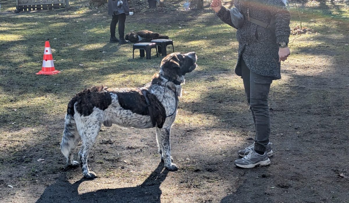 PXL_20260318_094204856