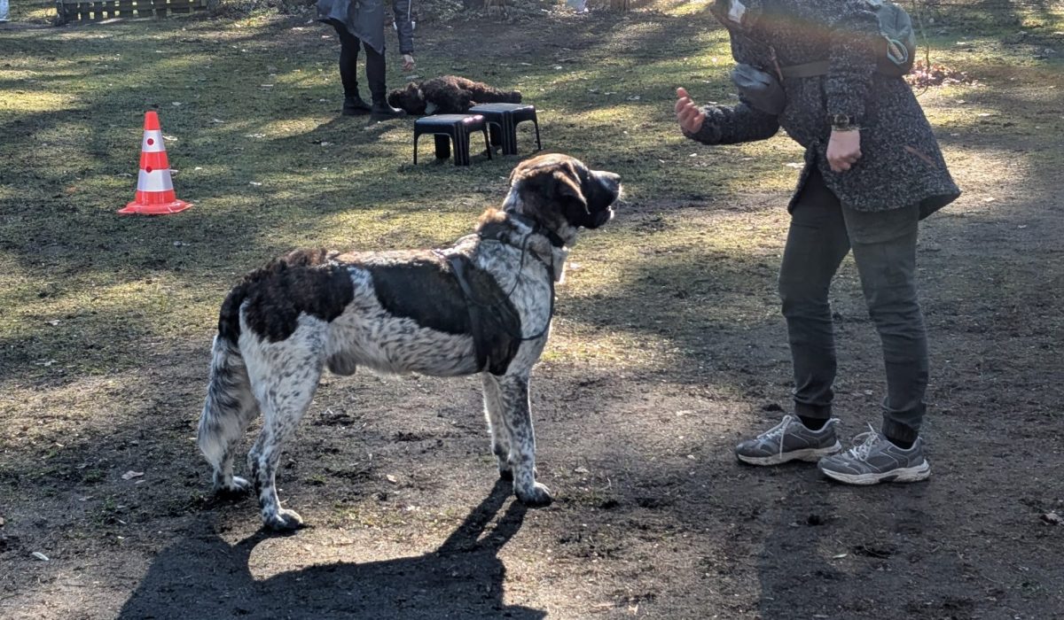 PXL_20260318_094206021