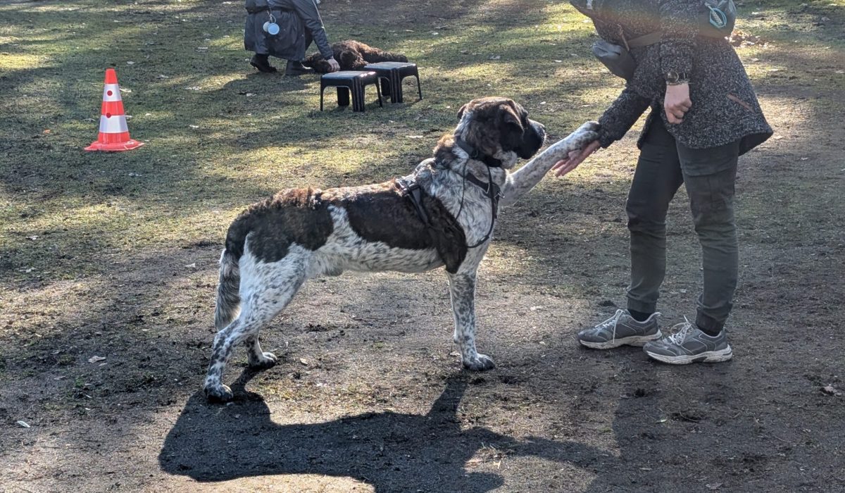 PXL_20260318_094206785