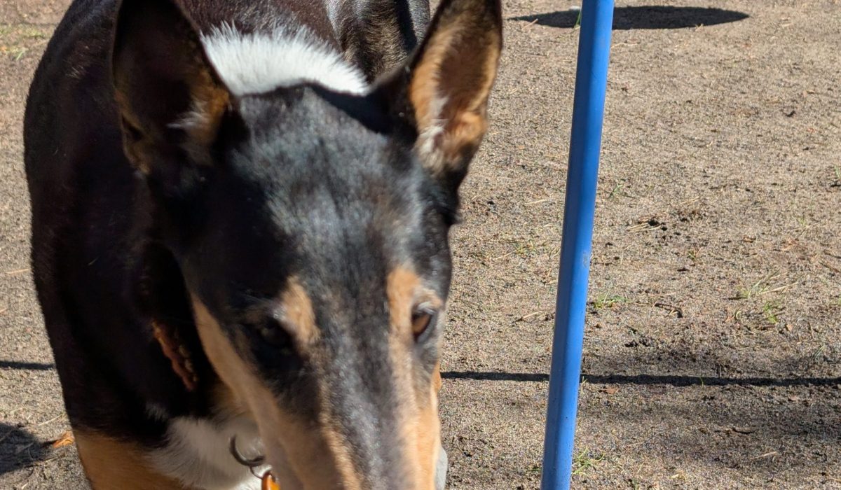 PXL_20260318_094434845