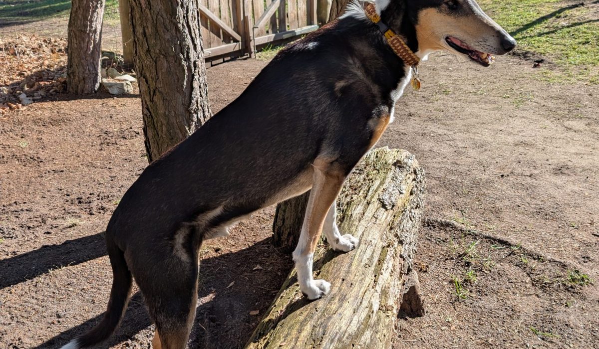 PXL_20260318_094820291