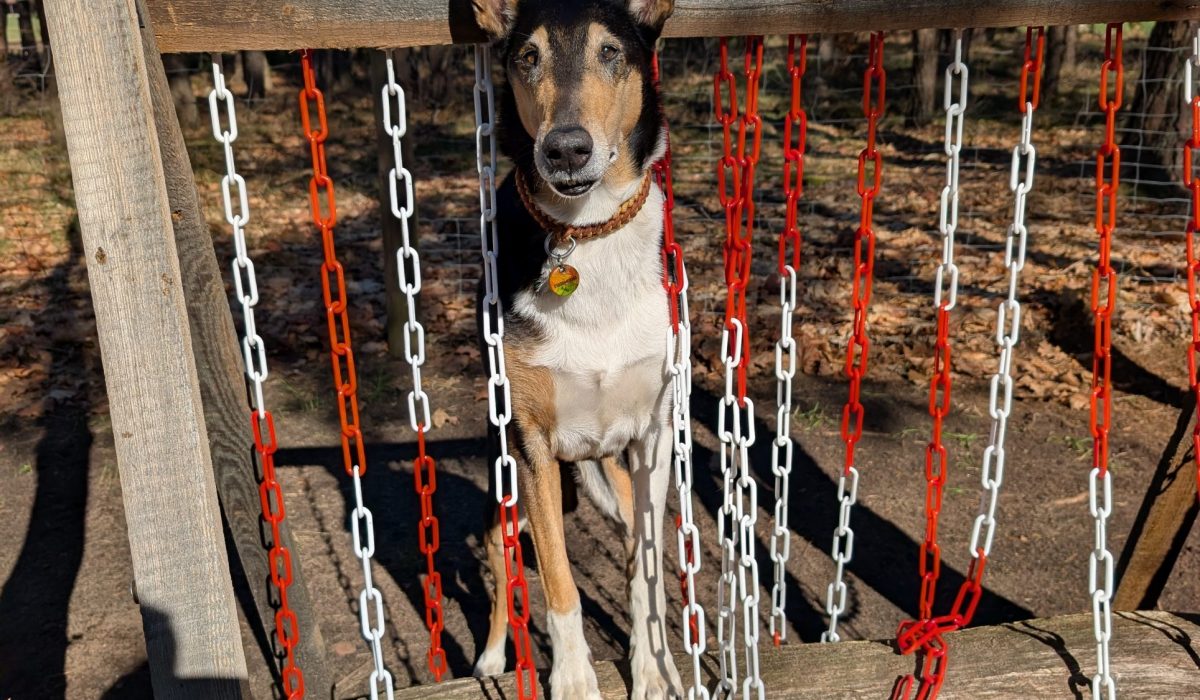 PXL_20260318_094852157