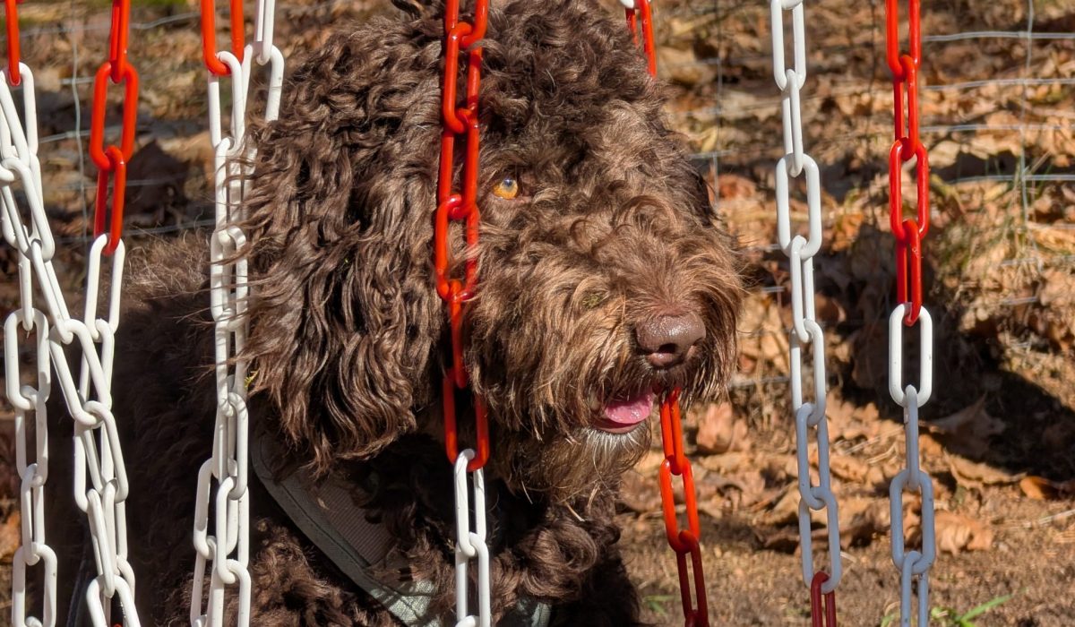 PXL_20260318_095015984