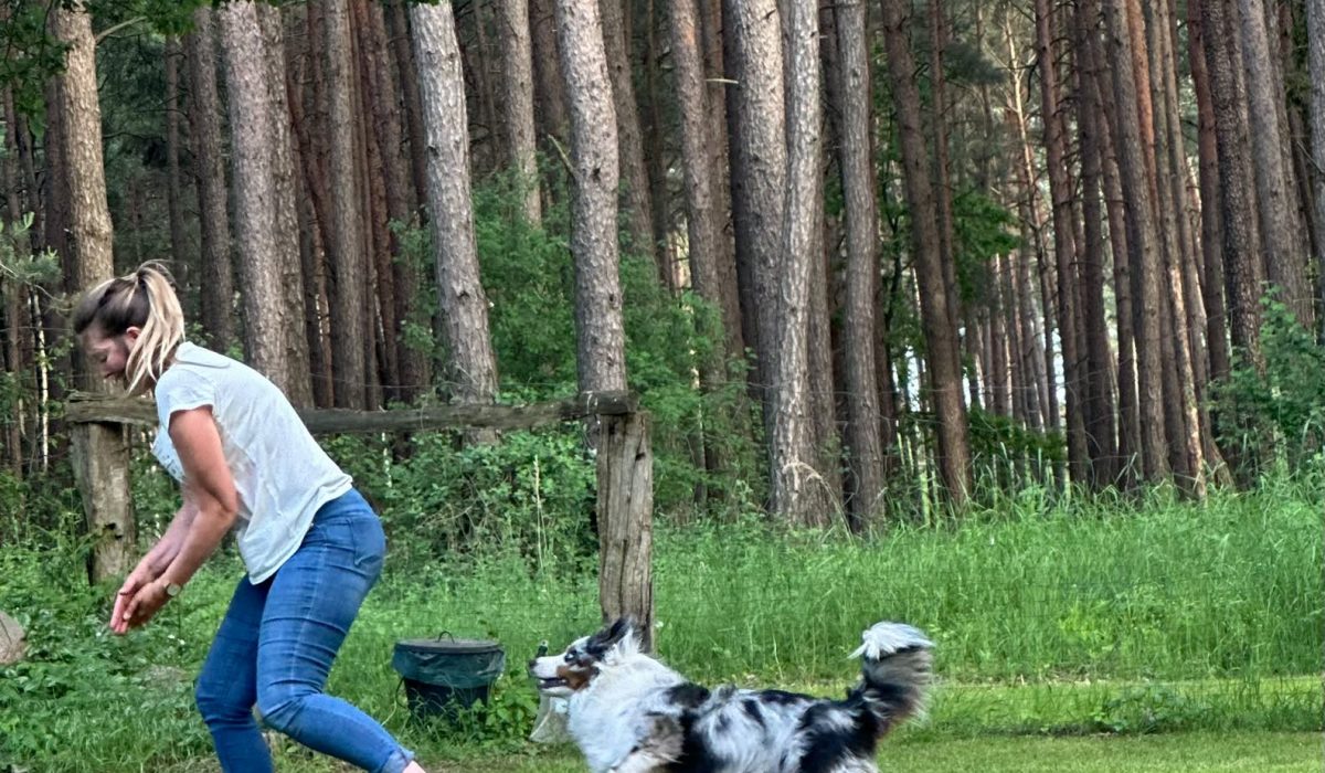 IMG-20260529-WA0025